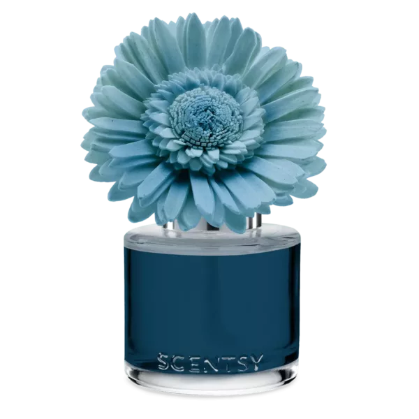 Sorrento Breeze - Dainty Daisy Fragrance Flower