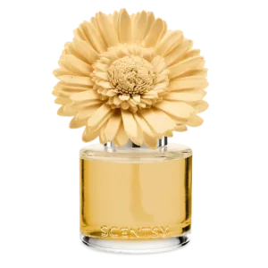 Sun-Drenched Cotton - Dainty Daisy Fragrance Flower