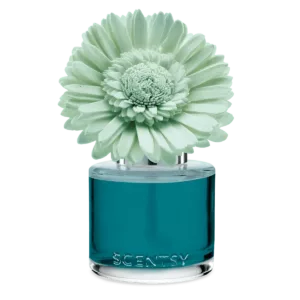 Wild Seaside - Dainty Daisy Fragrance Flower