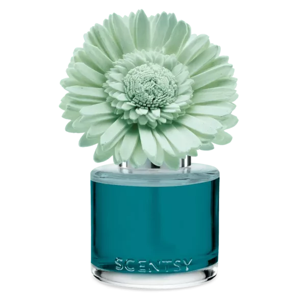 Wild Seaside - Dainty Daisy Fragrance Flower