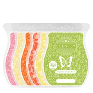 Sip Back & Relax 6-Bar Bundle
