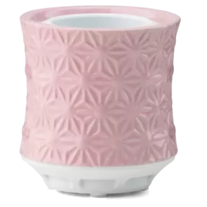 Scentsy Air – Burst