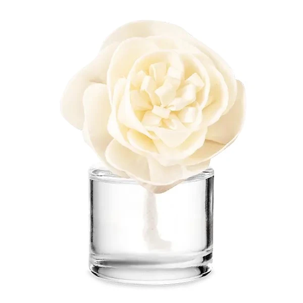 Pinkberry Sandalwood - Buttercup Belle Fragrance Flower