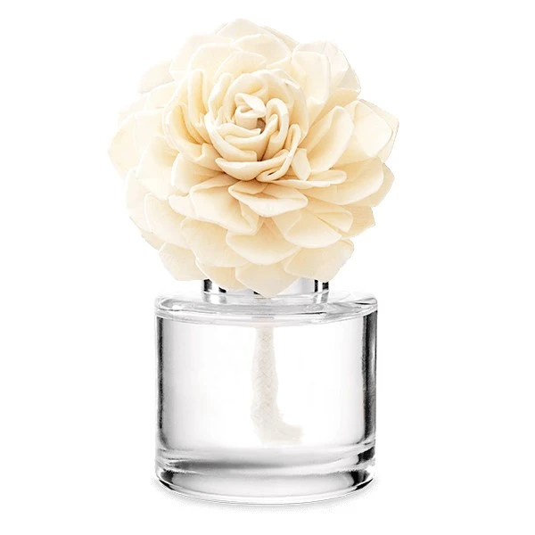 Pineapple Mango - Dahlia Darling Fragrance Flower