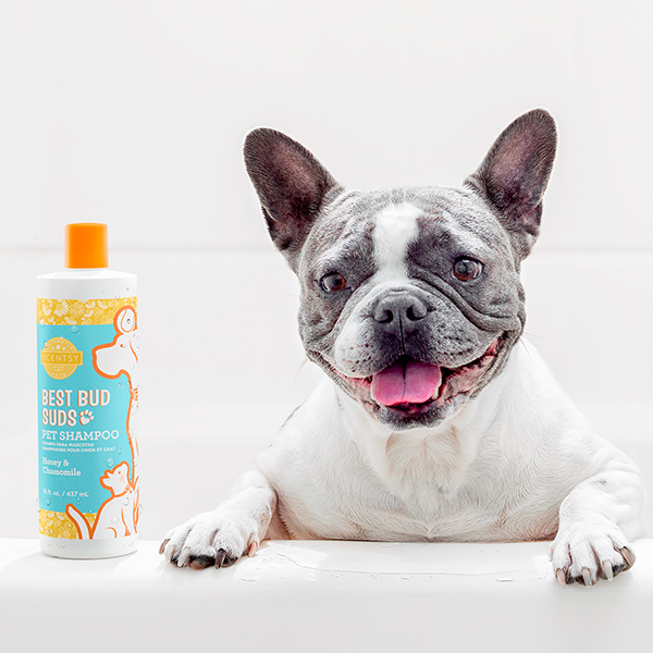 Oatmeal & Aloe Best Bud Suds Pet Shampoo - Image 2