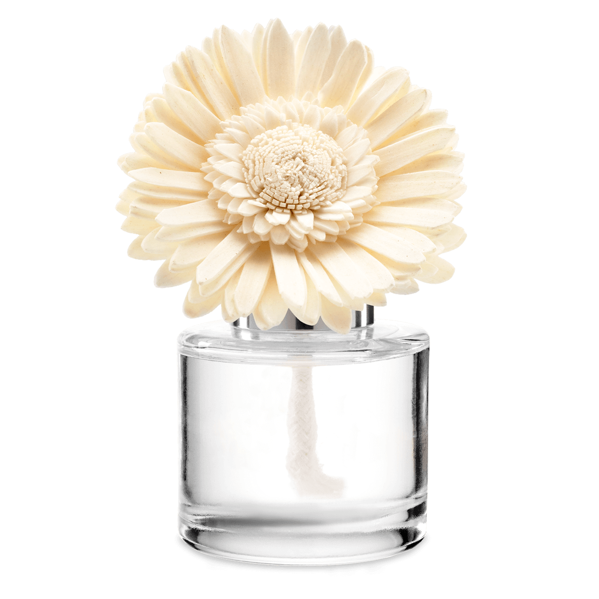 Bamboo & Rainfall - Dainty Daisy Fragrance Flower