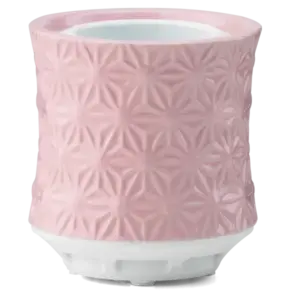 Scentsy Air – Burst