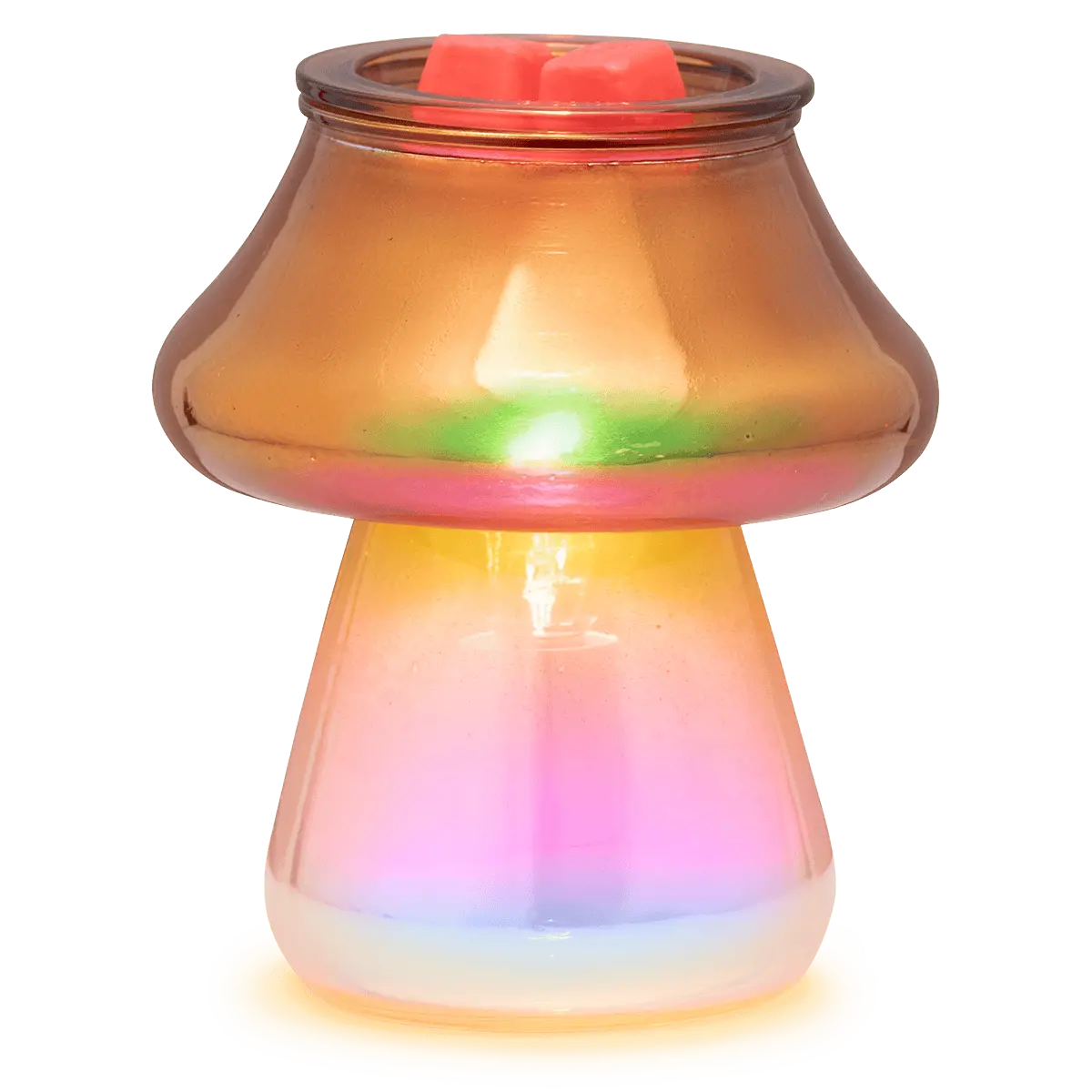 Amanita Warmer