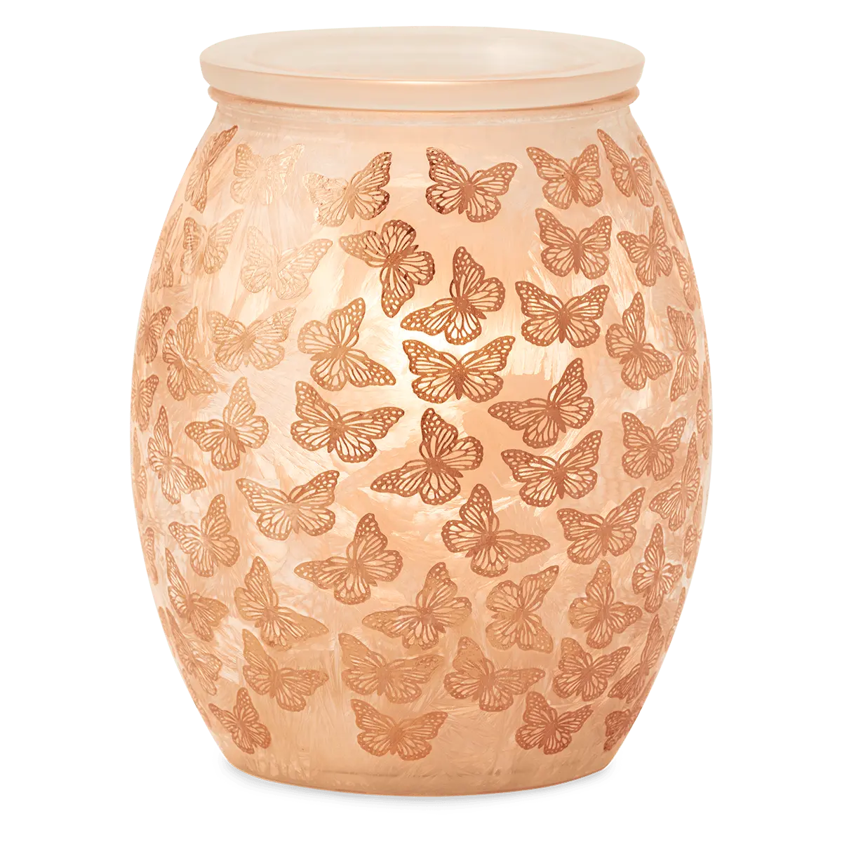 Butterfly Wings Warmer