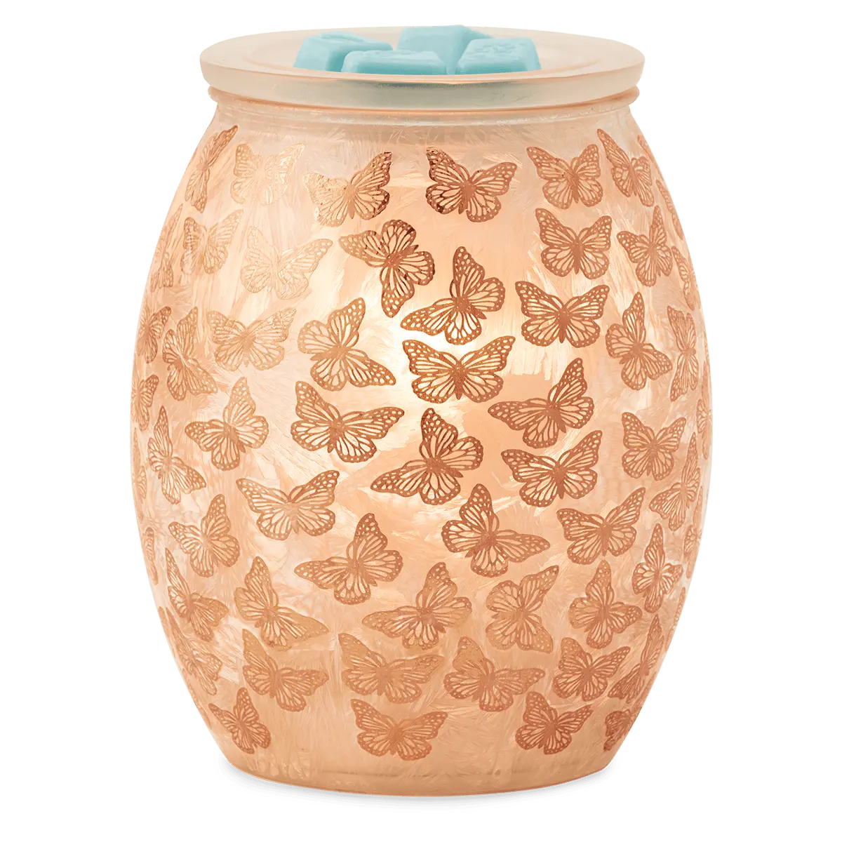 Butterfly Wings Warmer - Image 3