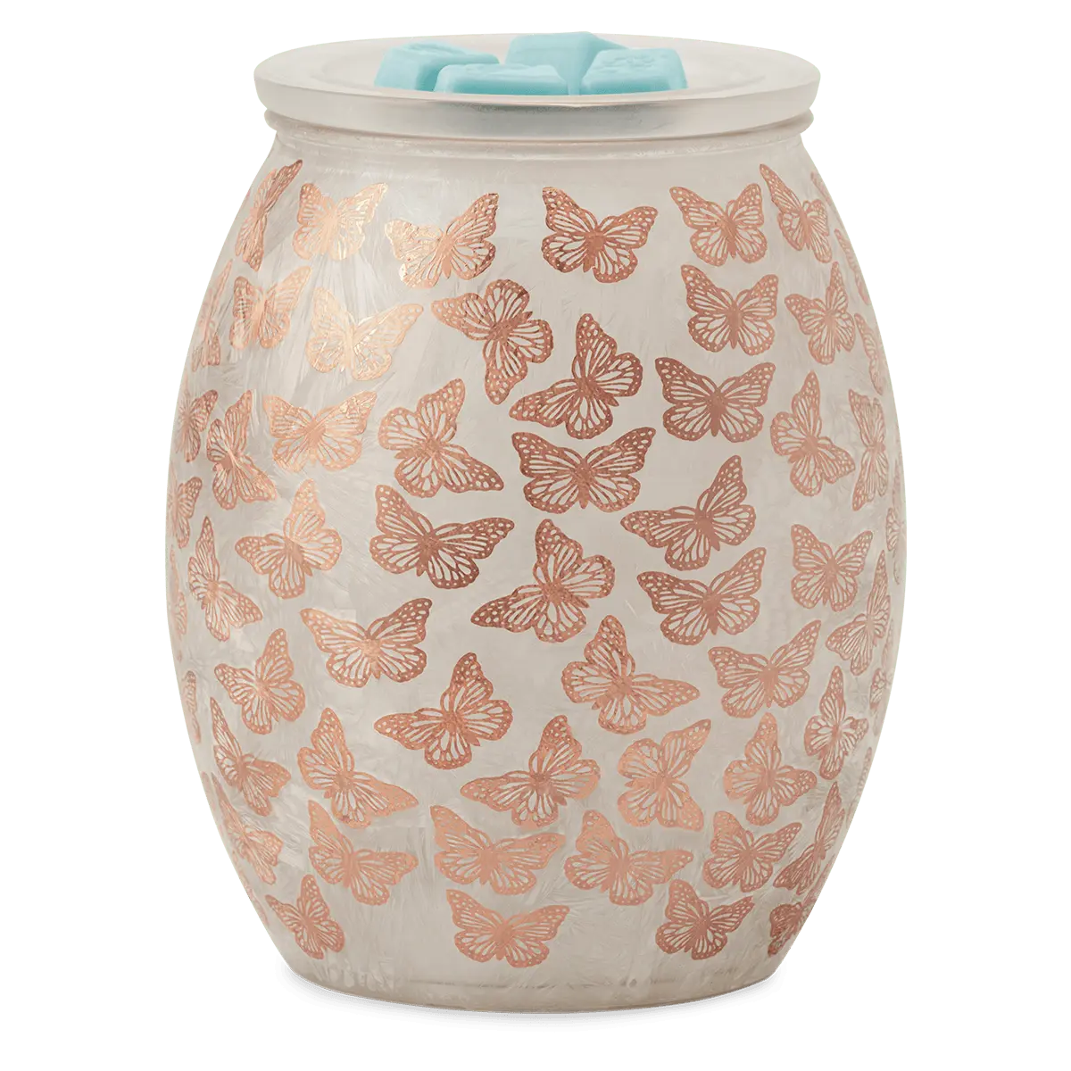 Butterfly Wings Warmer - Image 4