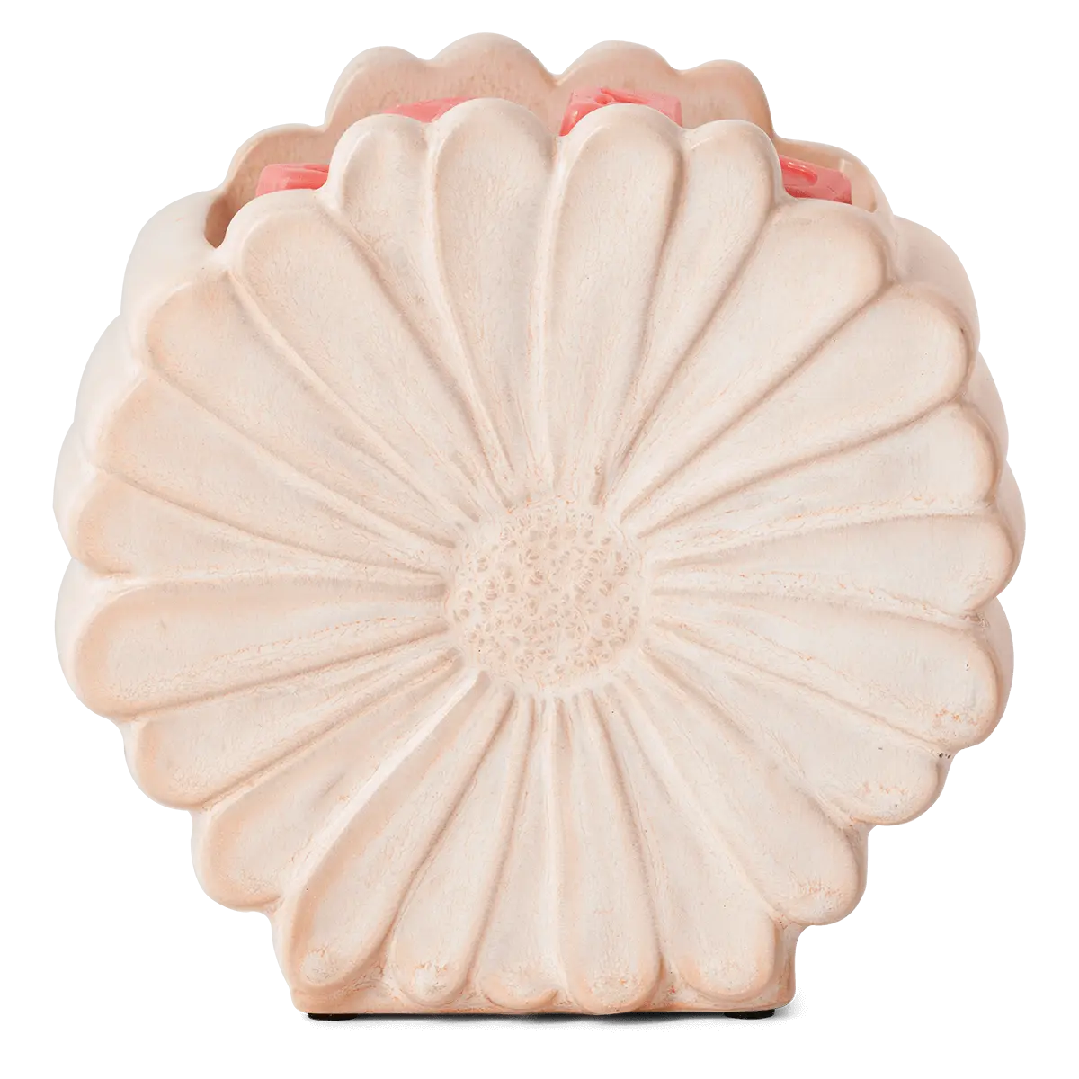 Daisy Warmer - Image 2