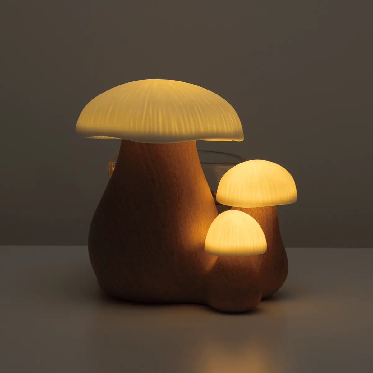 Forest Forage Warmer - Image 5