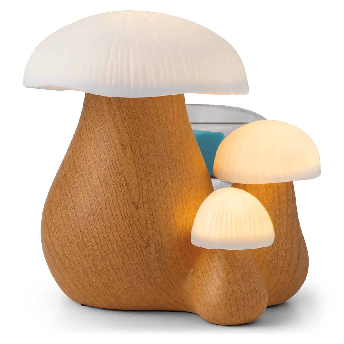 Forest Forage Warmer - Image 3