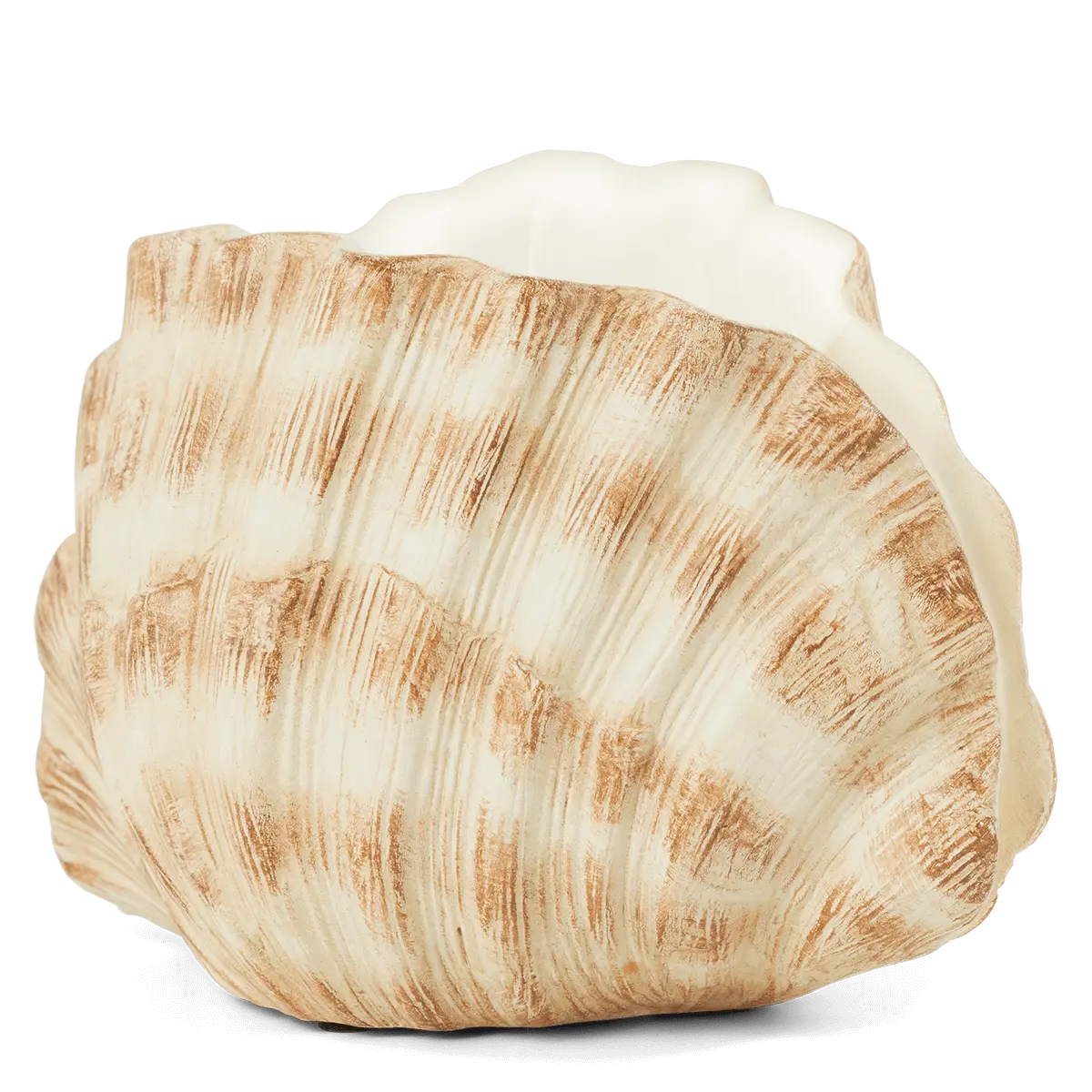 Seashell Warmer - Image 3