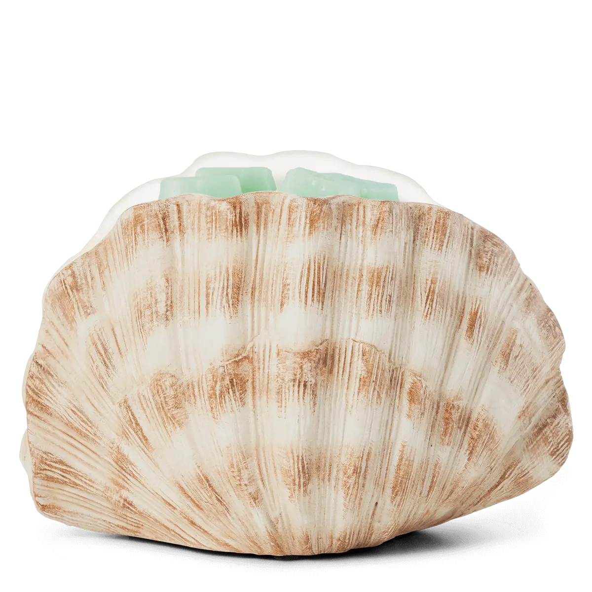 Seashell Warmer - Image 2