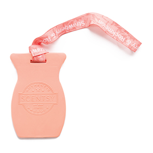 Strawberry & Rockmelon Scentsy Car Bar