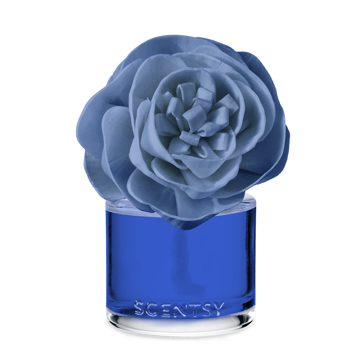 Saguaro Desert Rain – Buttercup Belle Fragrance Flower