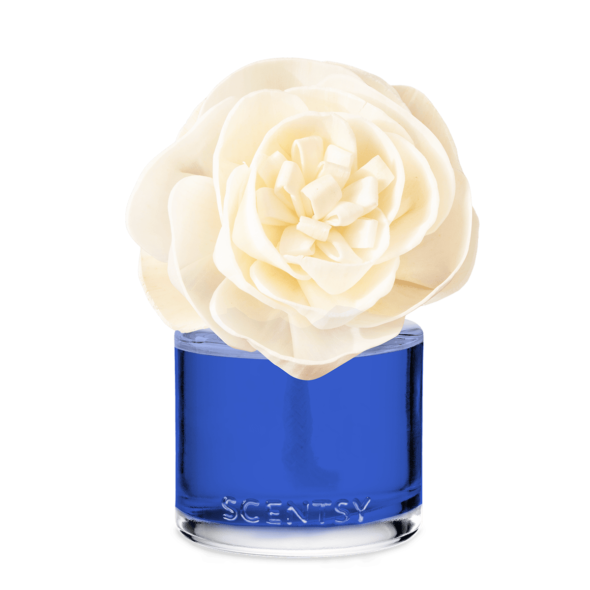 Saguaro Desert Rain – Buttercup Belle Fragrance Flower - Image 2