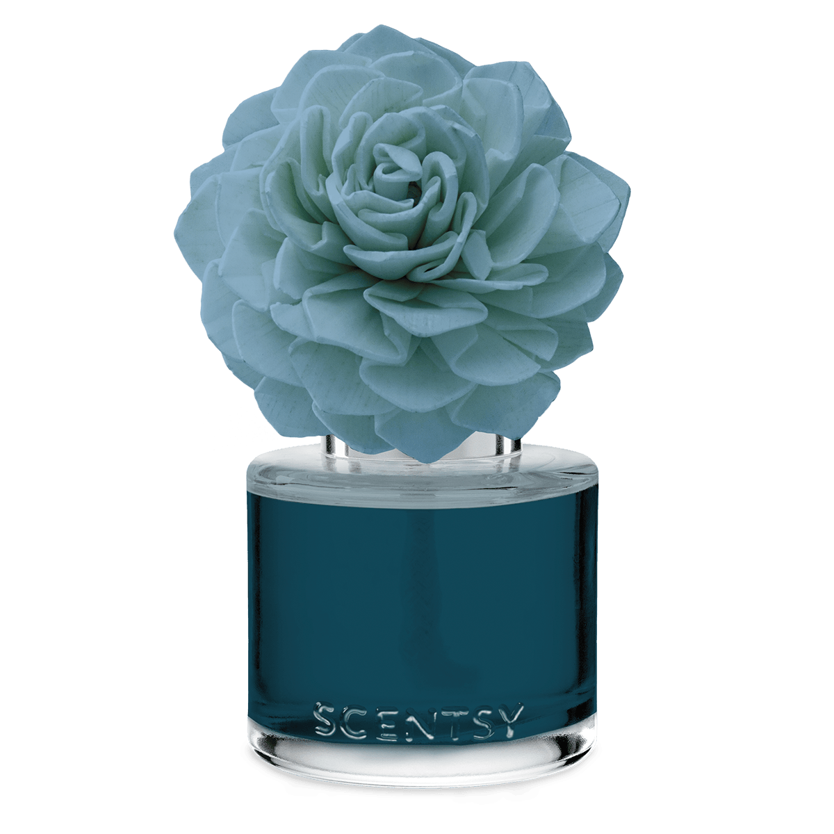 Rugged Mountain Rain – Dahlia Darling Fragrance Flower