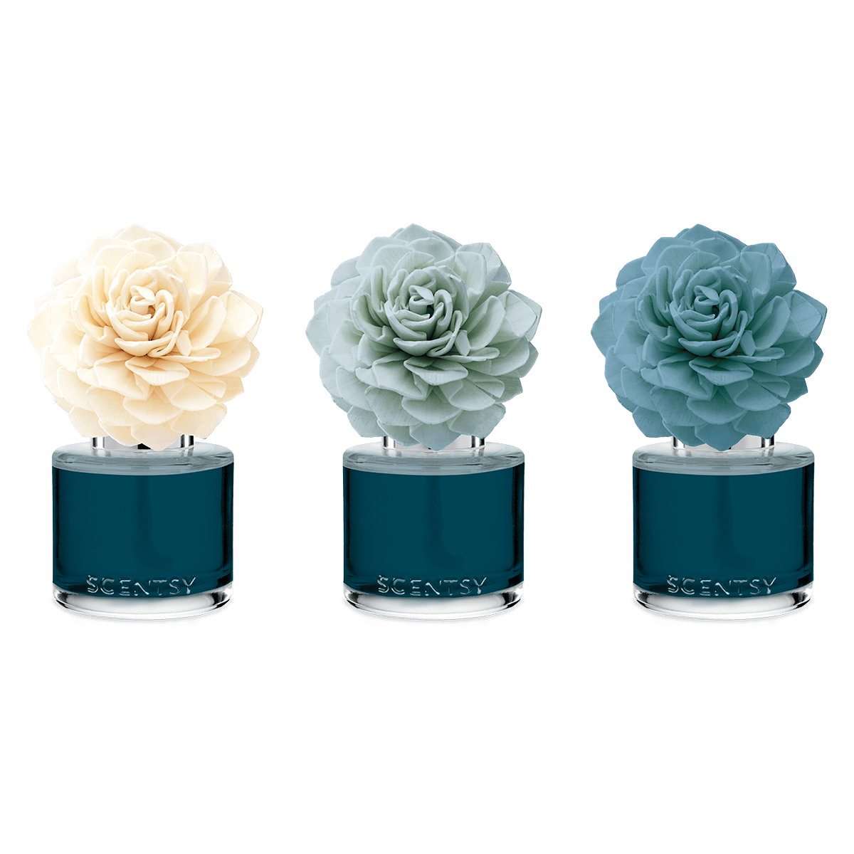 Rugged Mountain Rain – Dahlia Darling Fragrance Flower - Image 3