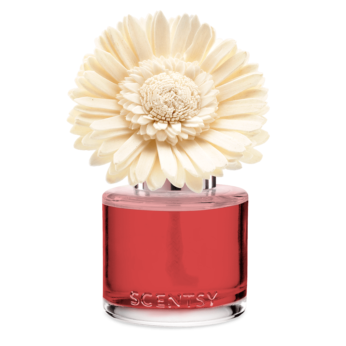 Glorious Grapefruit – Garden Bouquet Fragrance Flower - Image 2