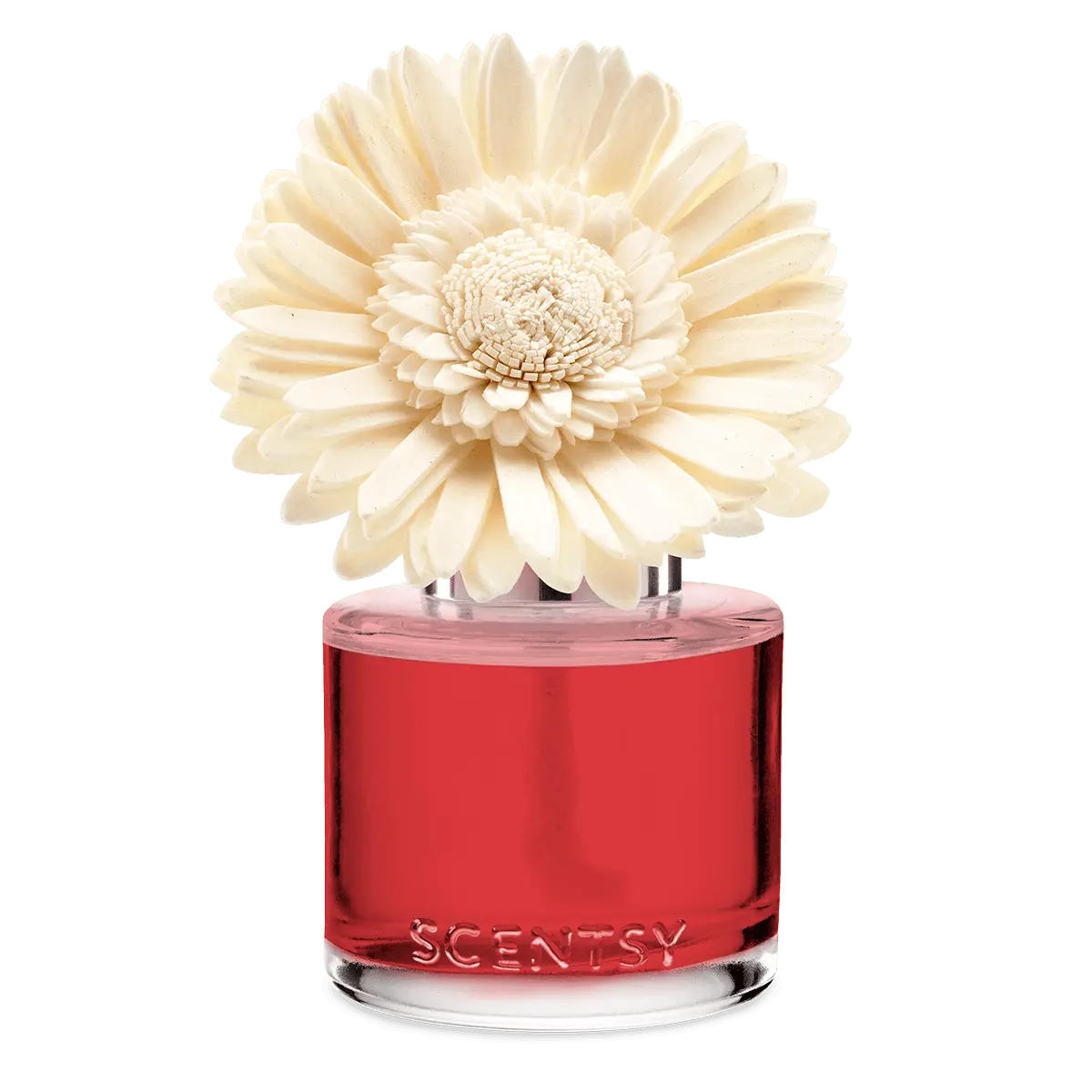 Santorini Blossoms - Dainty Daisy Fragrance Flower - Image 2