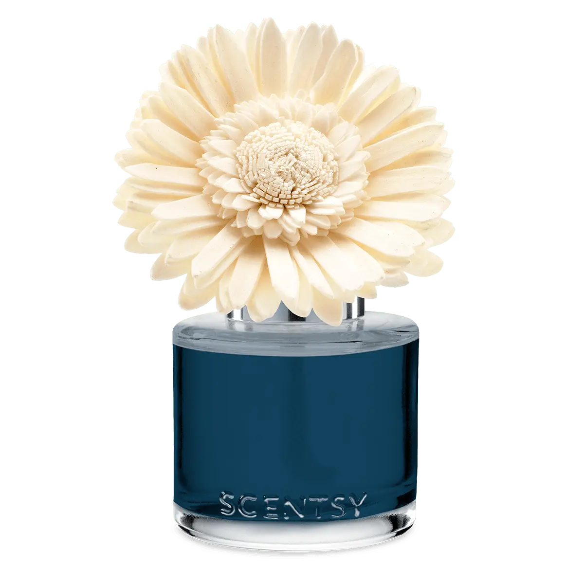 Sorrento Breeze - Dainty Daisy Fragrance Flower - Image 2