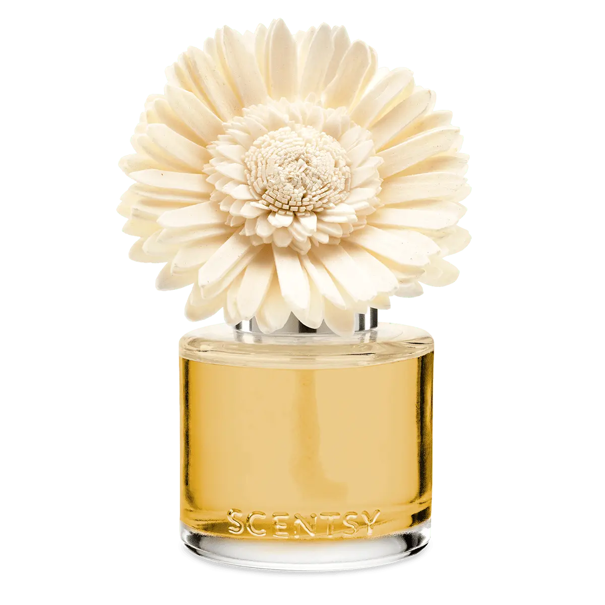 Sun-Drenched Cotton - Dainty Daisy Fragrance Flower - Image 2