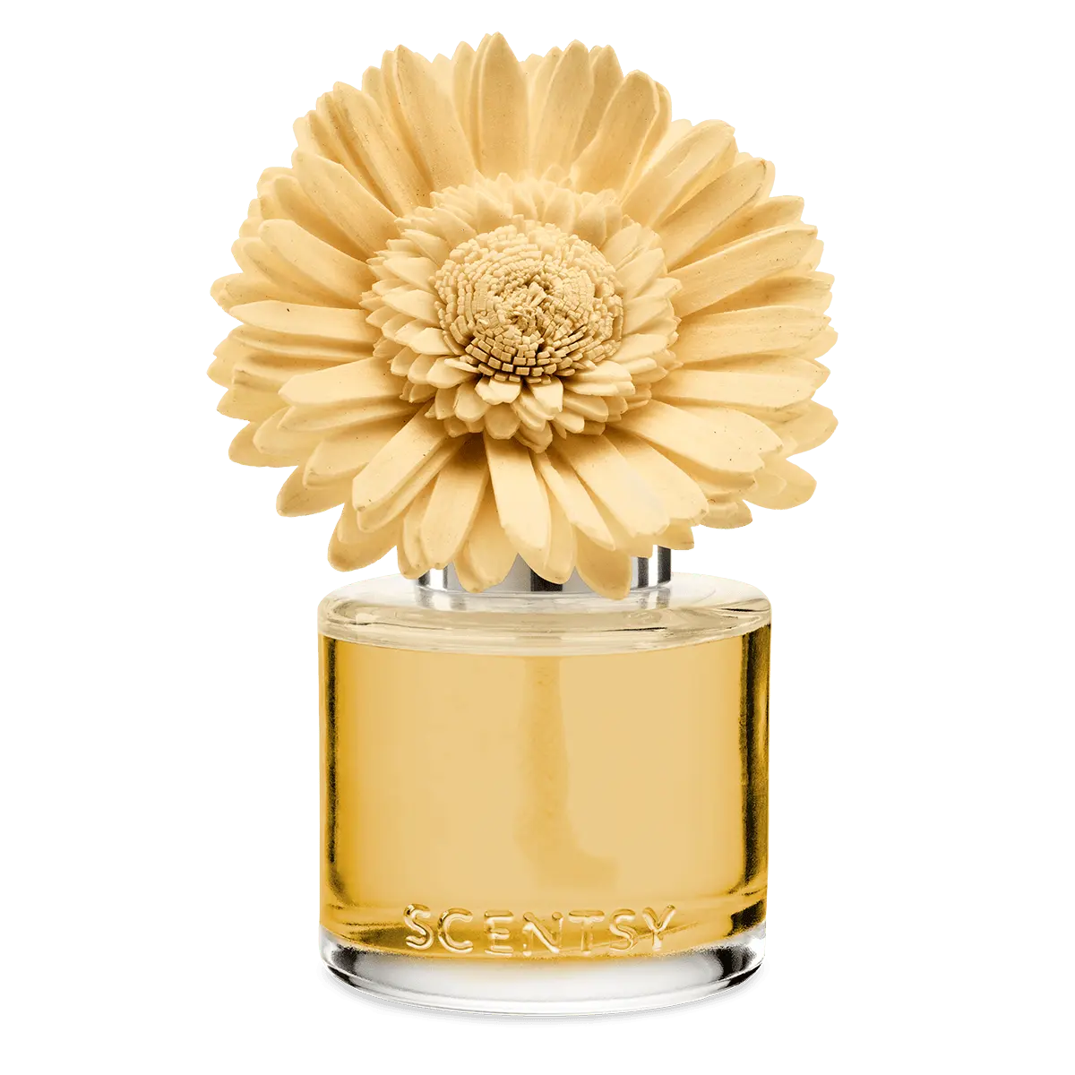 Sun-Drenched Cotton - Dainty Daisy Fragrance Flower