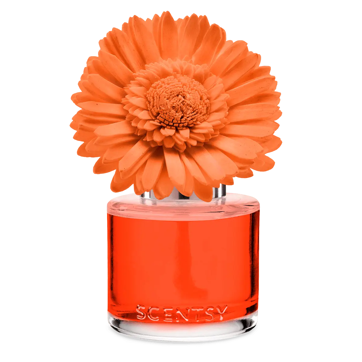 Sunset Cocktail - Dainty Daisy Fragrance Flower