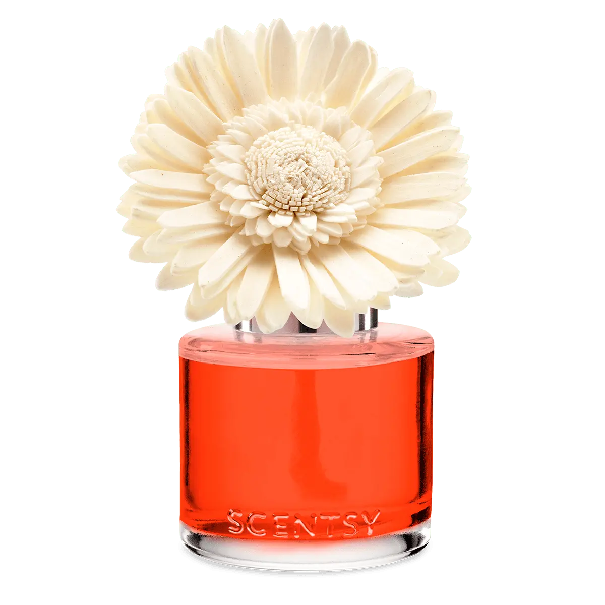 Sunset Cocktail - Dainty Daisy Fragrance Flower - Image 2