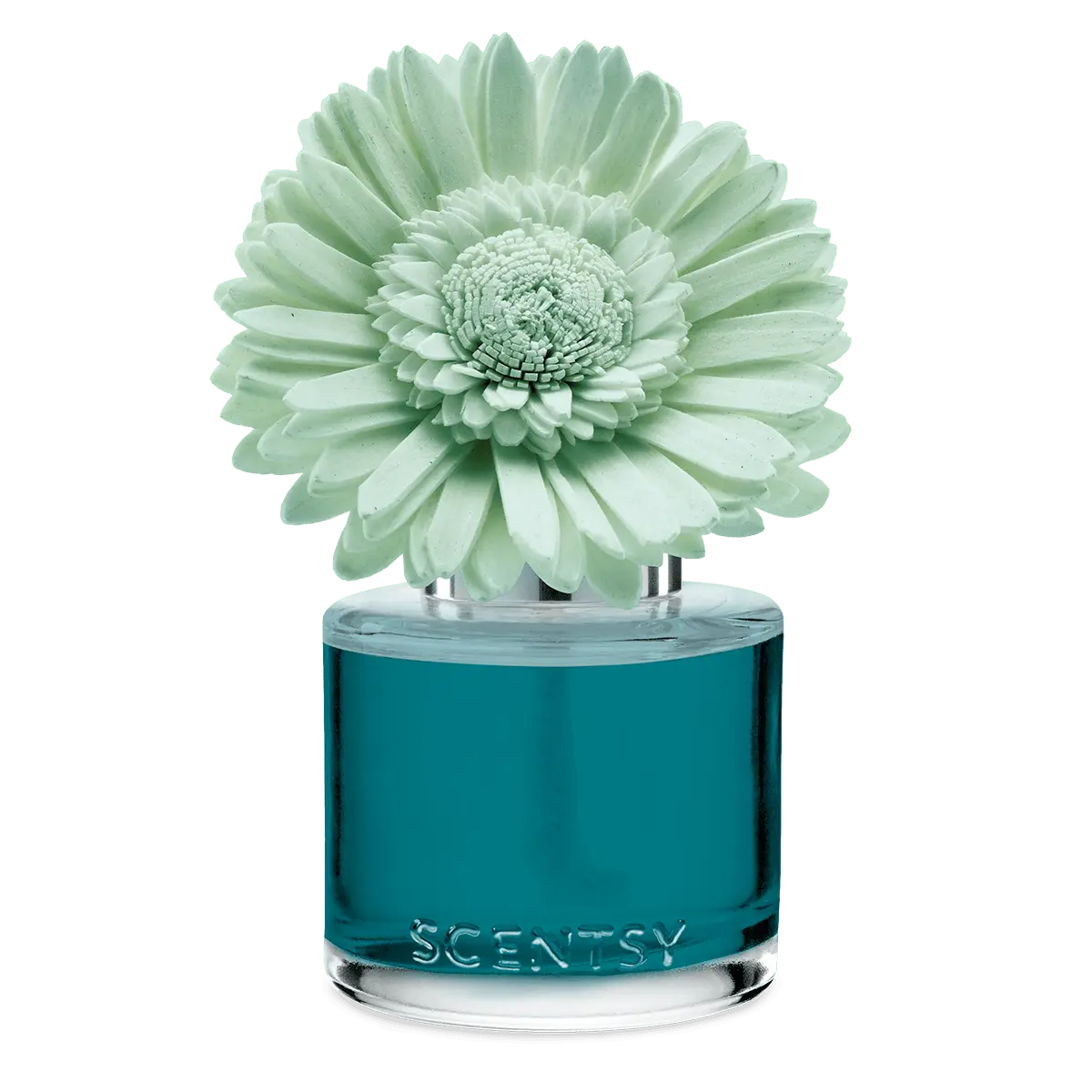 Wild Seaside - Dainty Daisy Fragrance Flower
