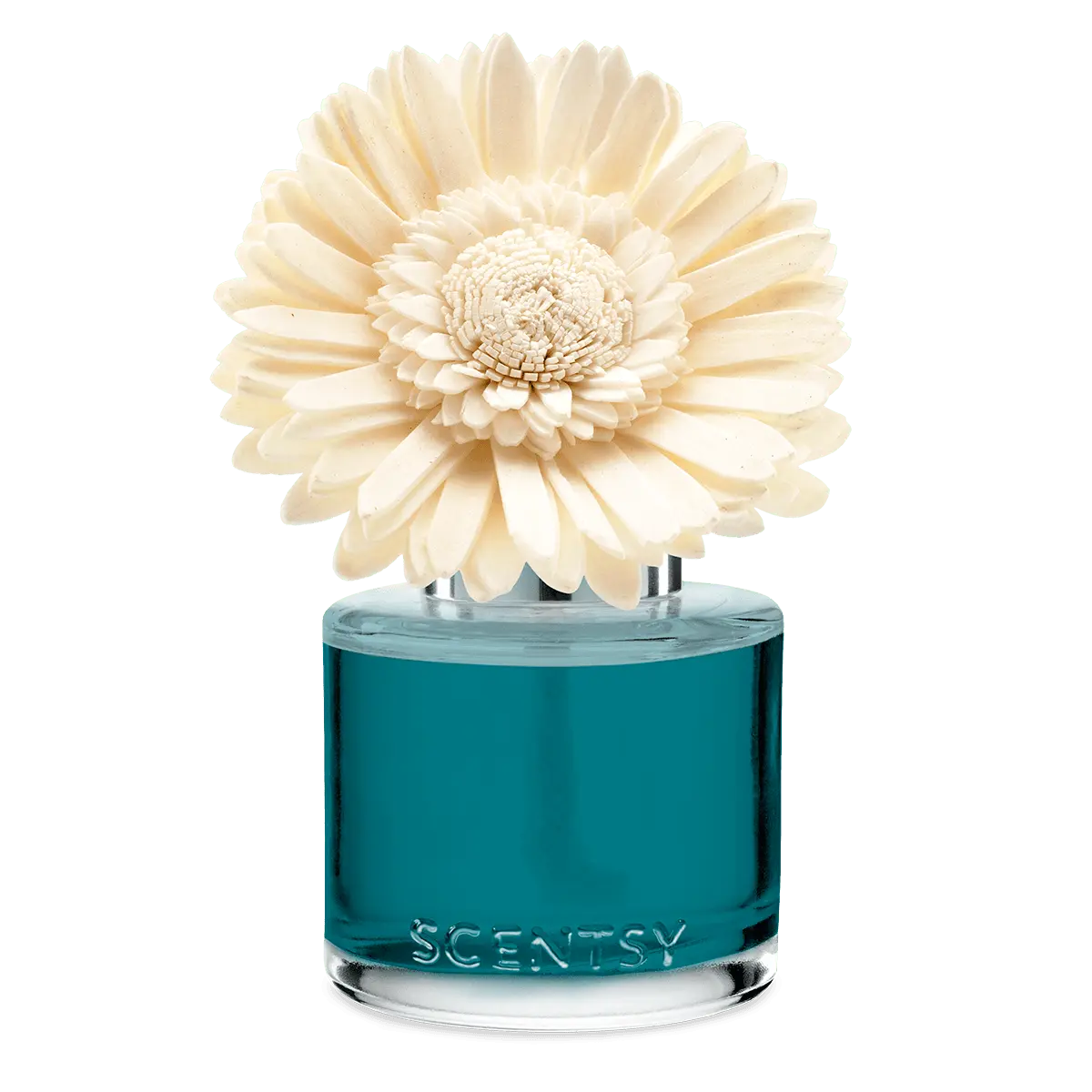 Wild Seaside - Dainty Daisy Fragrance Flower - Image 2