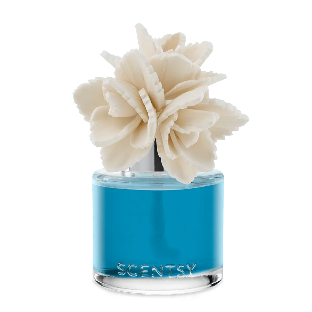Wildflowers & Sage – Elegant Echeveria Fragrance Flower - Image 2