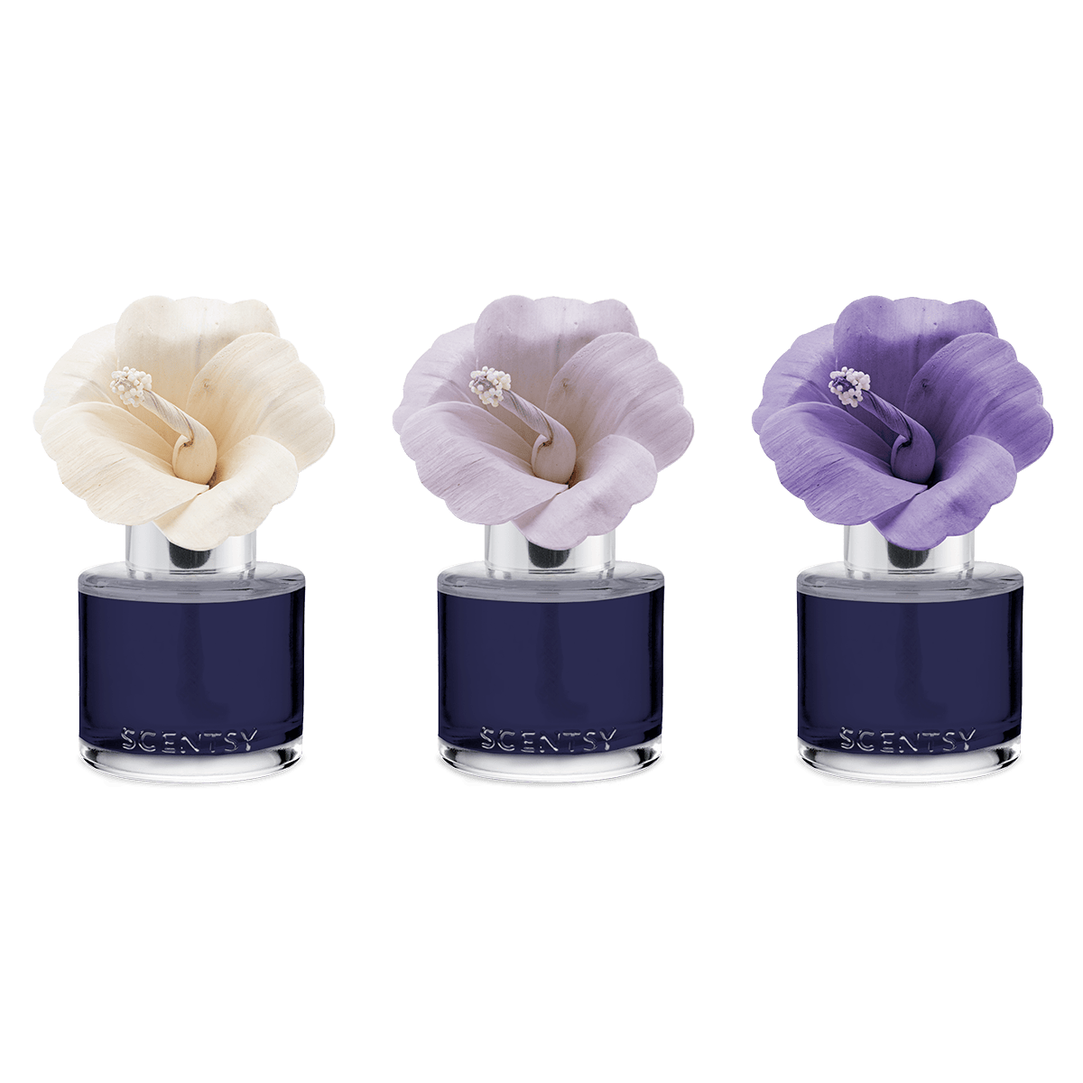 Hibiscus Sunset – Garden Bouquet Fragrance Flower - Image 3