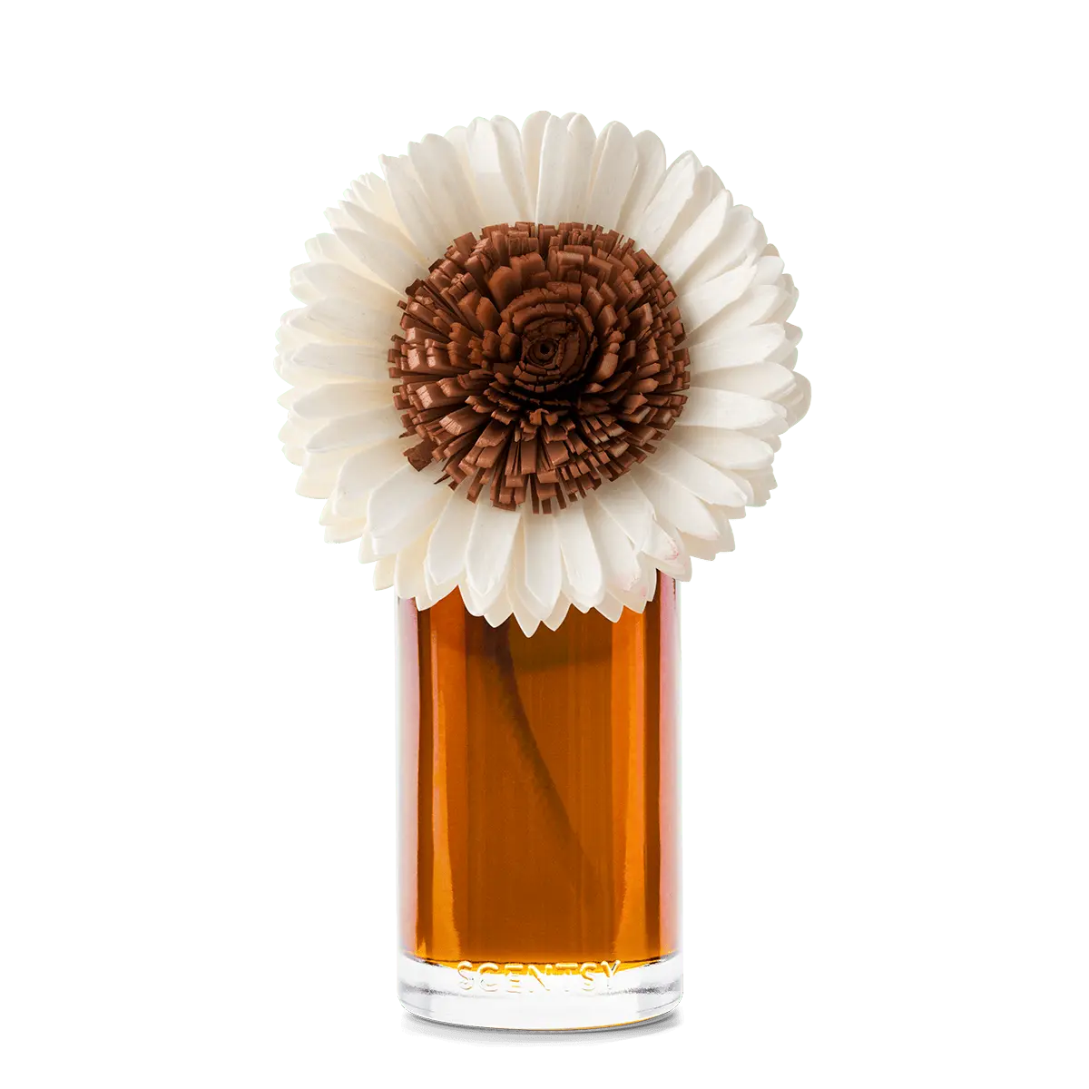Pumpkin Honey Spice – Large Stunning Sunflower Fragrance Flower - Image 2