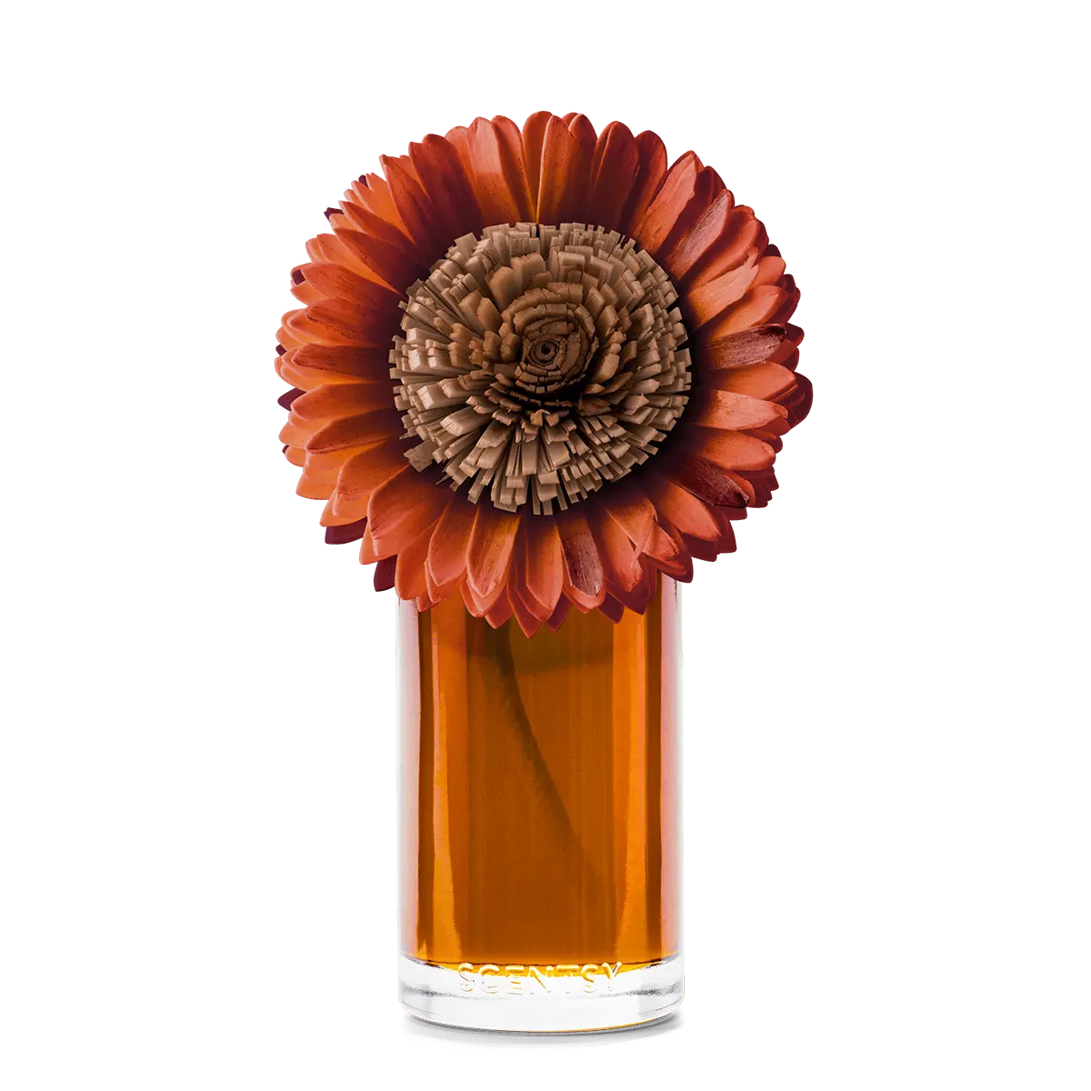 Pumpkin Honey Spice – Large Stunning Sunflower Fragrance Flower