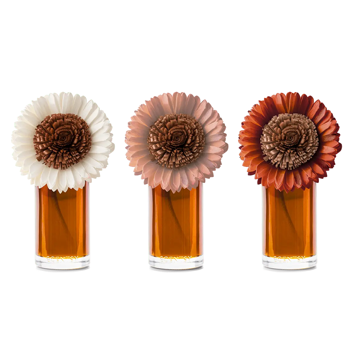 Pumpkin Honey Spice – Large Stunning Sunflower Fragrance Flower - Image 3