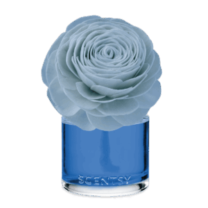 Coastal Rain Cove – Prim Posy Fragrance Flower