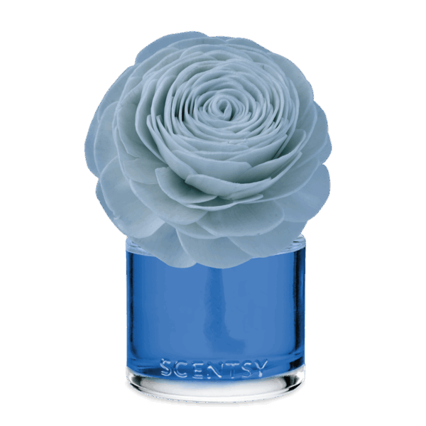 Coastal Rain Cove – Prim Posy Fragrance Flower