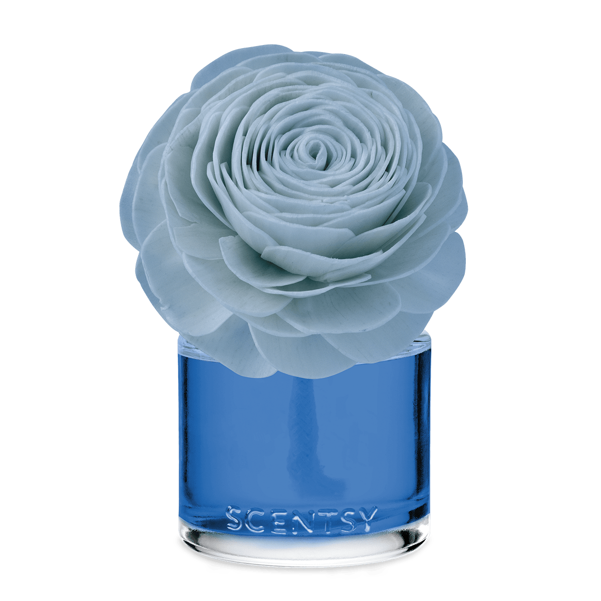 Coastal Rain Cove – Prim Posy Fragrance Flower
