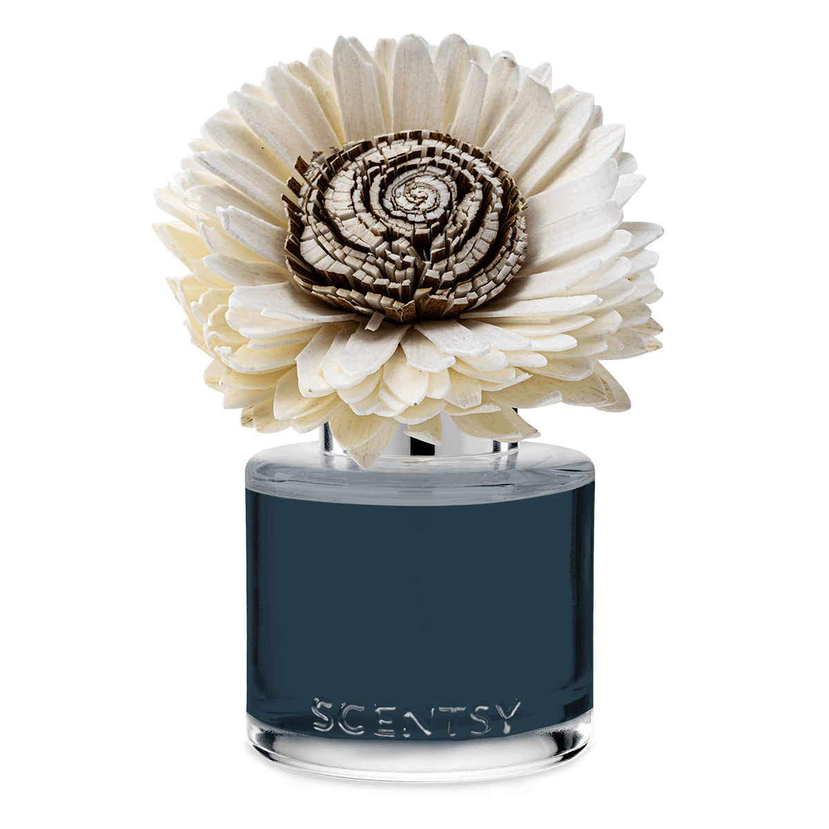 Apple Harvest Dreams – Stunning Sunflower Fragrance Flower - Image 2