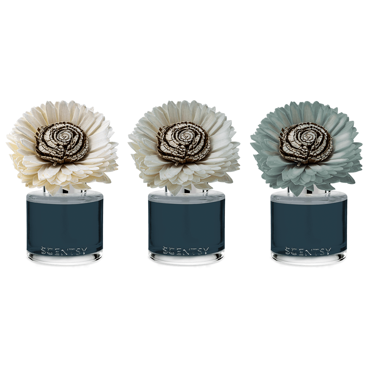 Apple Harvest Dreams – Stunning Sunflower Fragrance Flower - Image 3