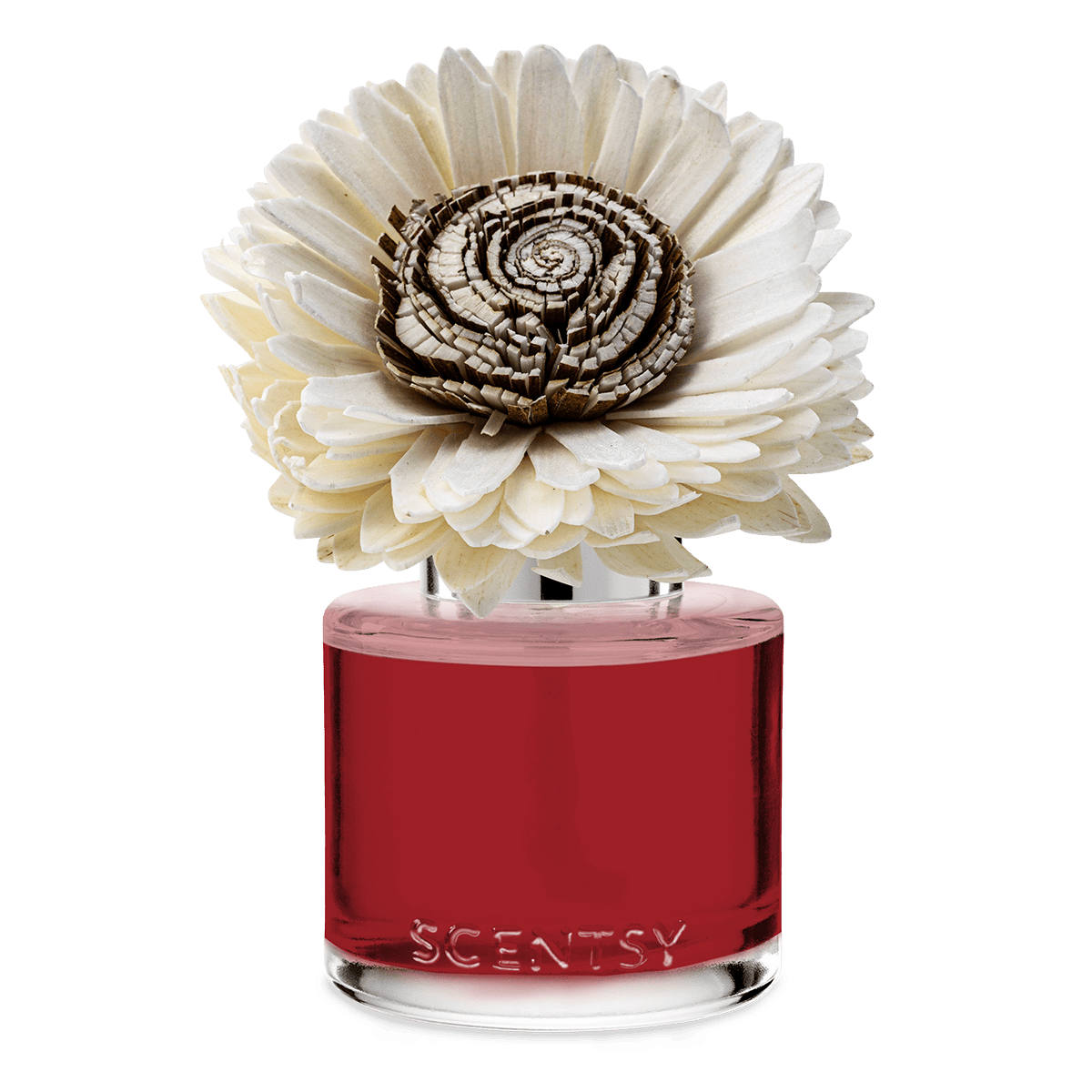 Cider & Crimson Berries – Stunning Sunflower Fragrance Flower - Image 2