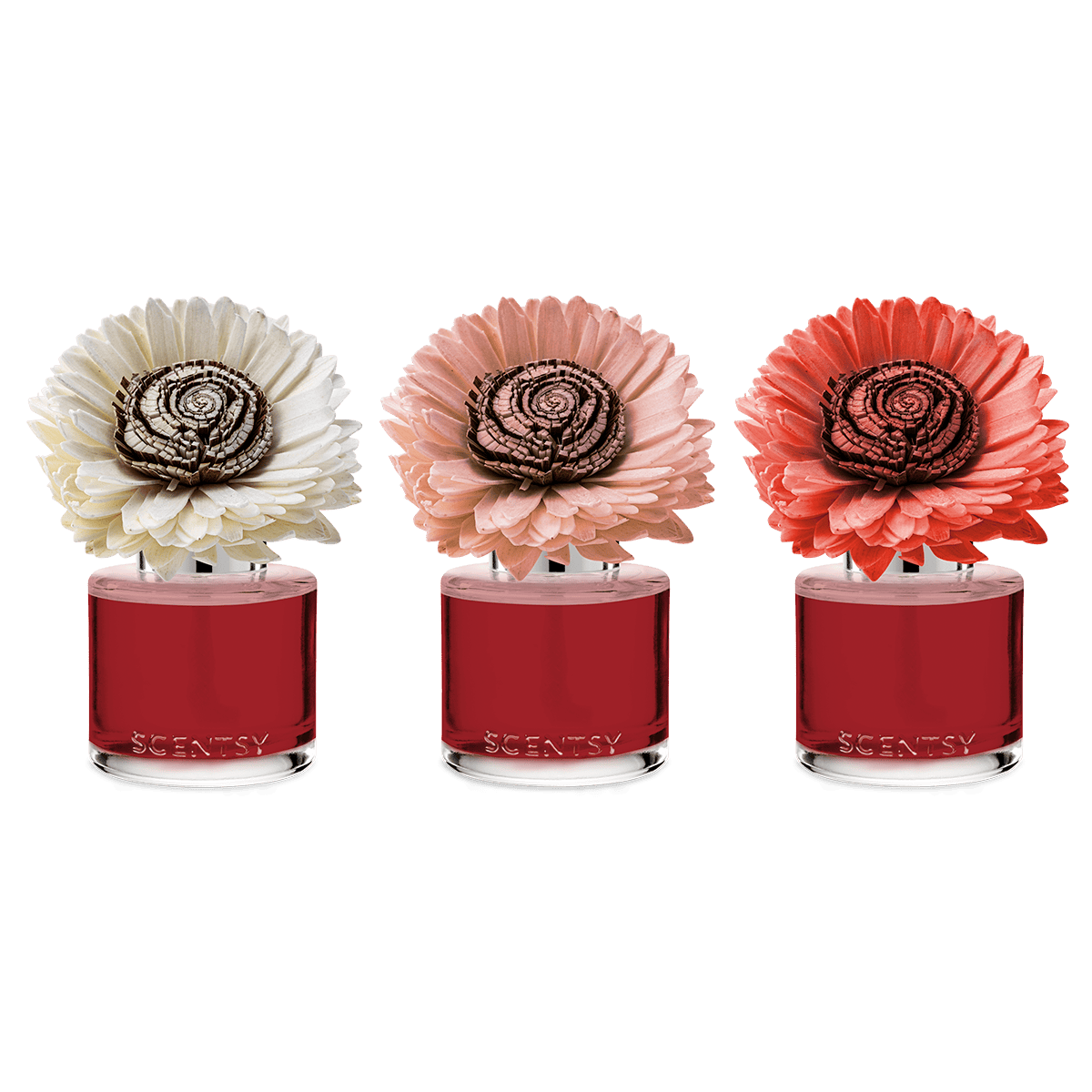 Cider & Crimson Berries – Stunning Sunflower Fragrance Flower - Image 3
