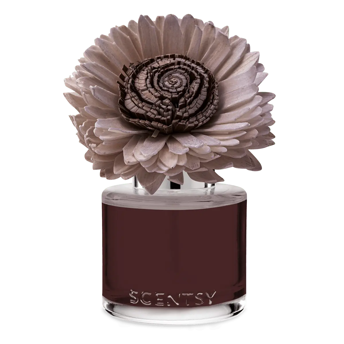 Moonlight Whisper – Stunning Sunflower Fragrance Flower
