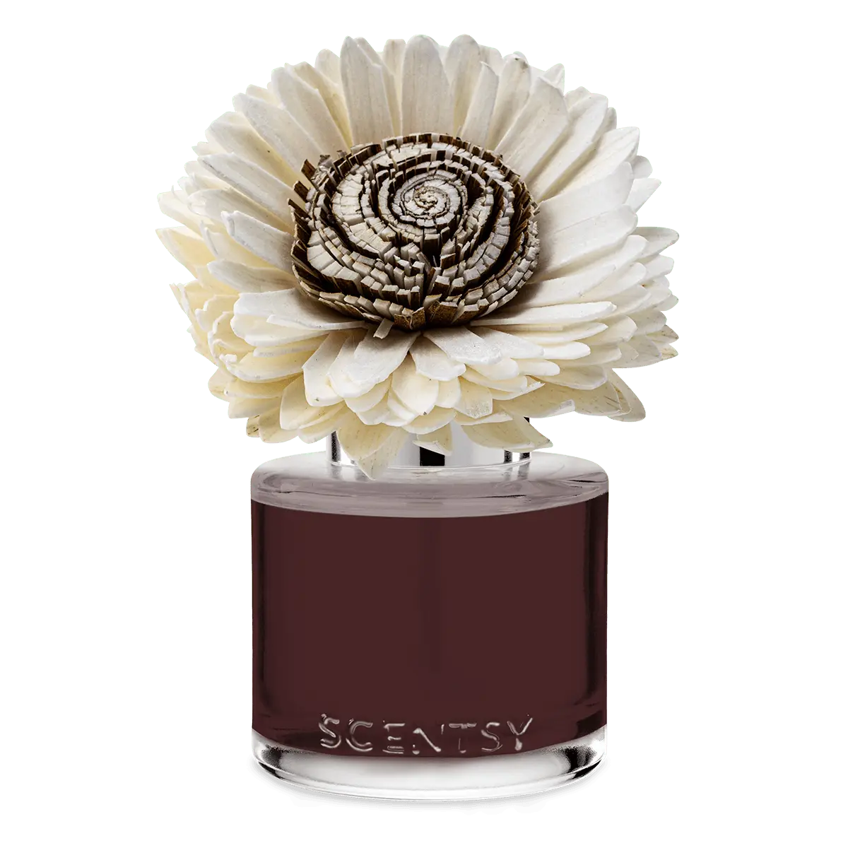 Moonlight Whisper – Stunning Sunflower Fragrance Flower - Image 2