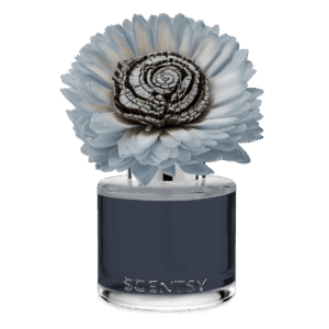 Quaint Country Rain – Stunning Sunflower Fragrance Flower