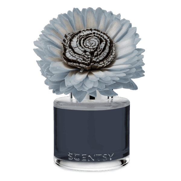 Quaint Country Rain – Stunning Sunflower Fragrance Flower